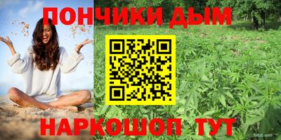 mdpv Гатчина