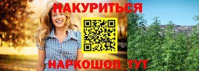 apvp Гай