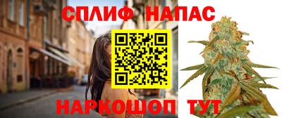 apvp Гай