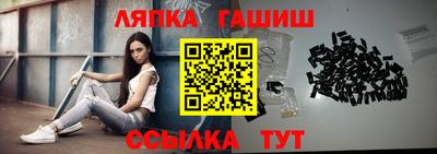 mdpv Гатчина